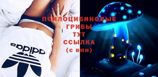 меф Алексин